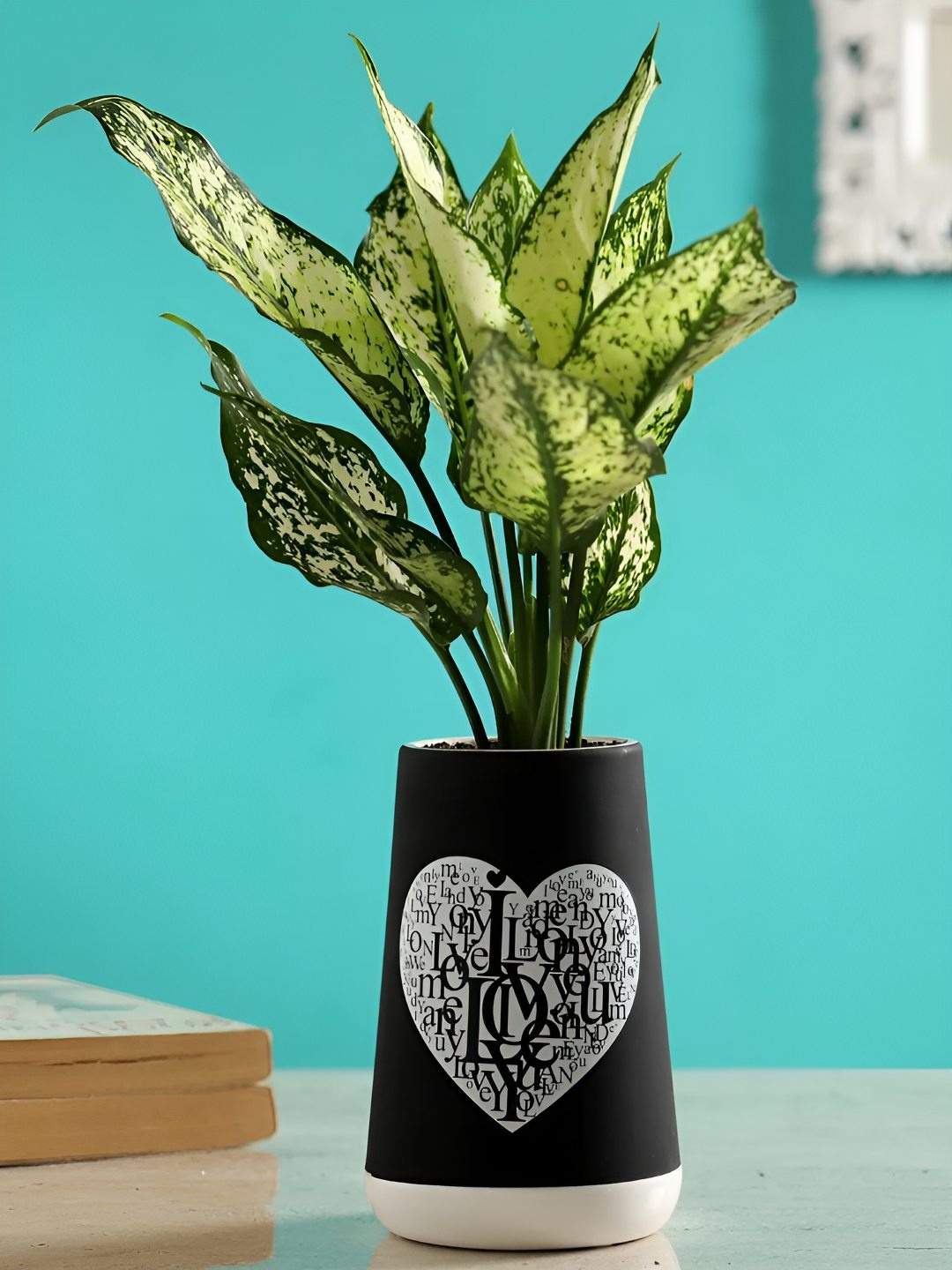 

fnp Green Indoor Aglaonema Plant With Pot 6 inches