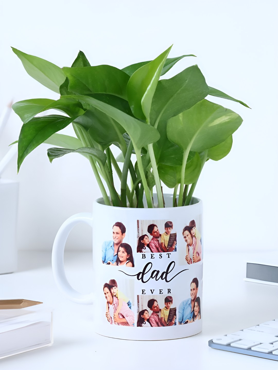 

fnp Green & White Indoor Fathers Day Money Plant With Mug
