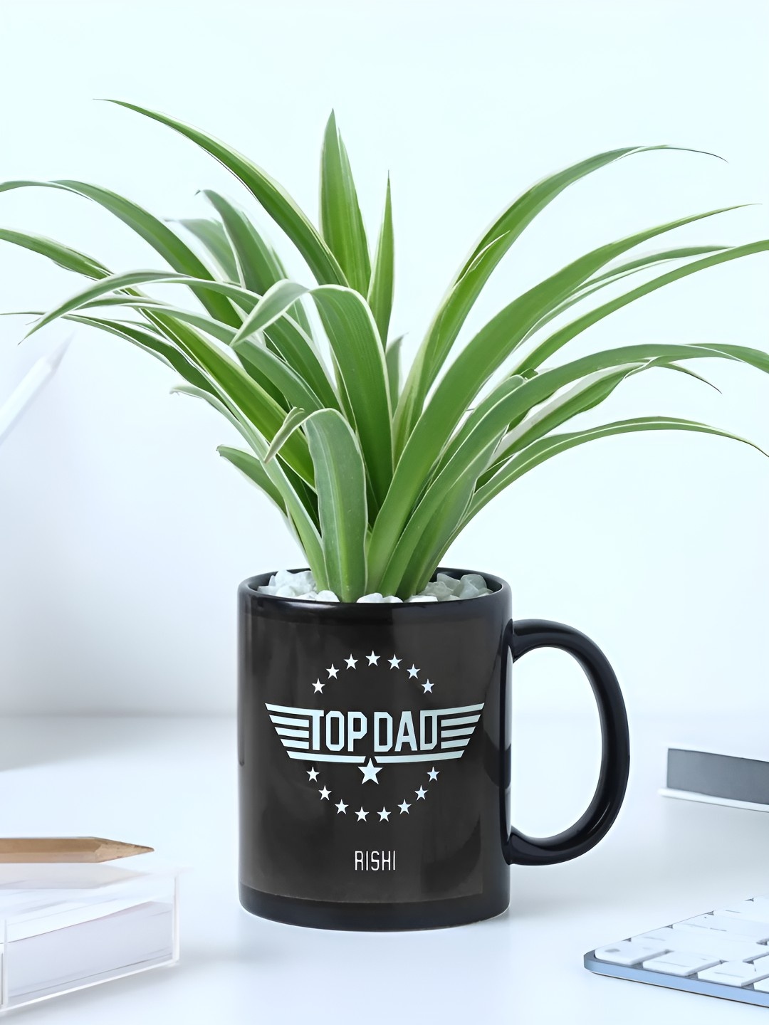 

fnp Green & Black Spider Live Plants With Pot 4 inches