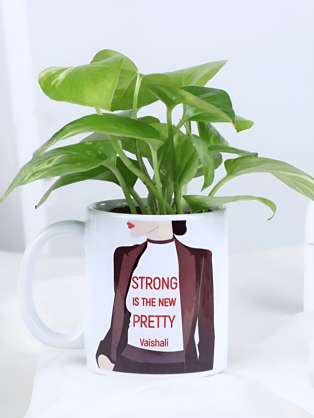 

fnp Green Indoor Money Plant With Pot