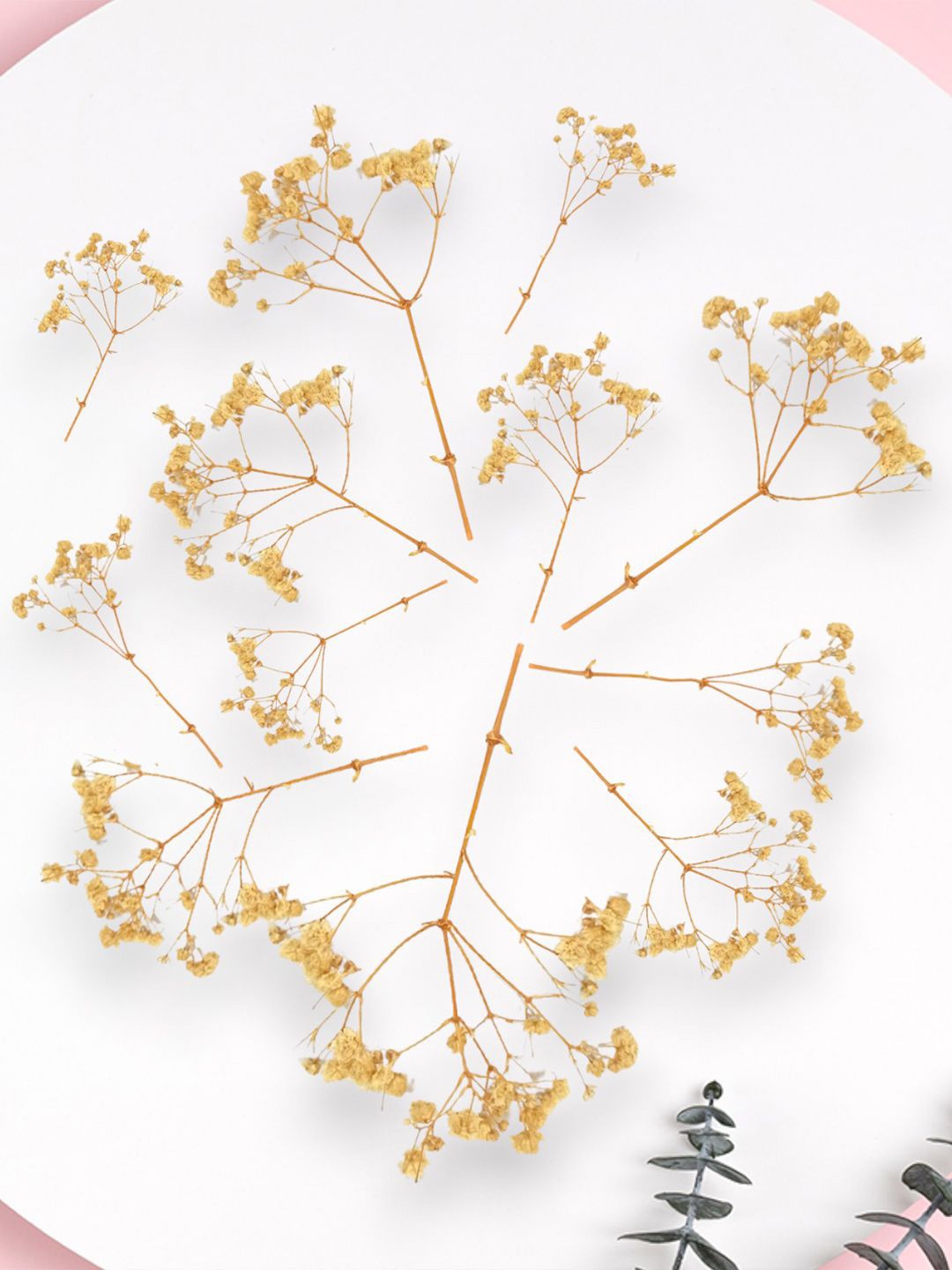 

Hair Flare Women Beaded U Pins, Gold