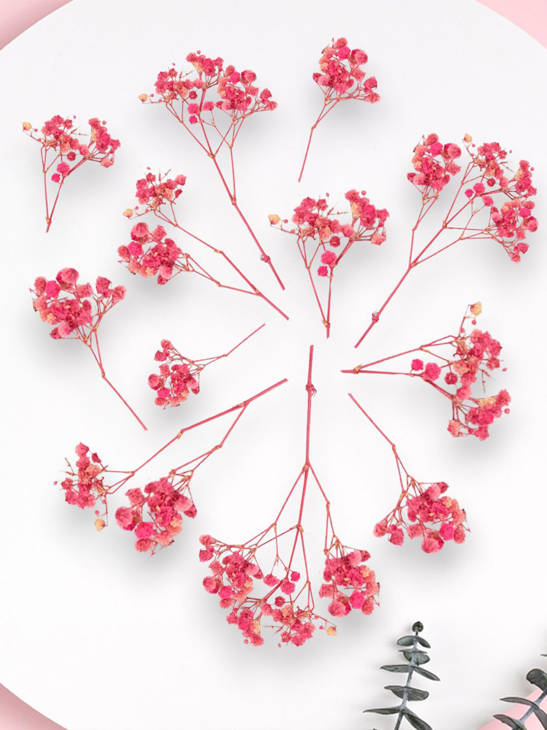 

Hair Flare Women Beaded Hair Accessory Set of, Pink