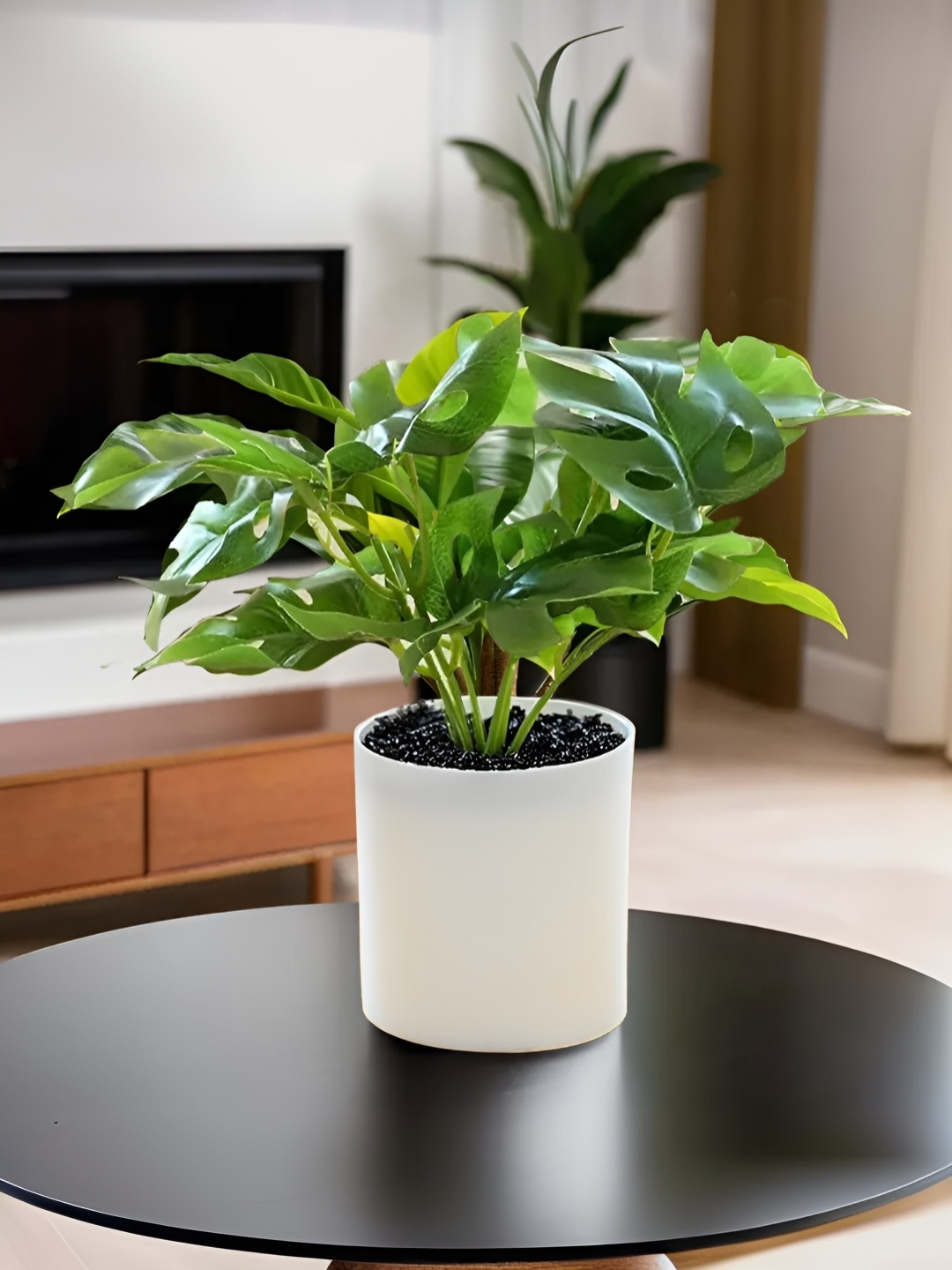 

The Better Home Green & White Artificial Green Leaves Plant With Pot