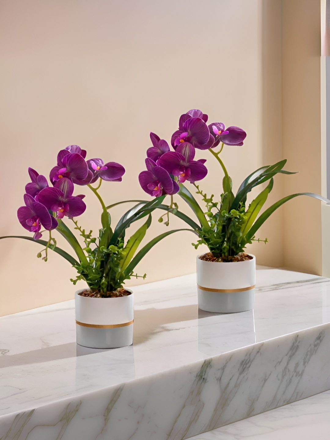 

The Better Home Purple 2 Pieces Orchid Core With Pot