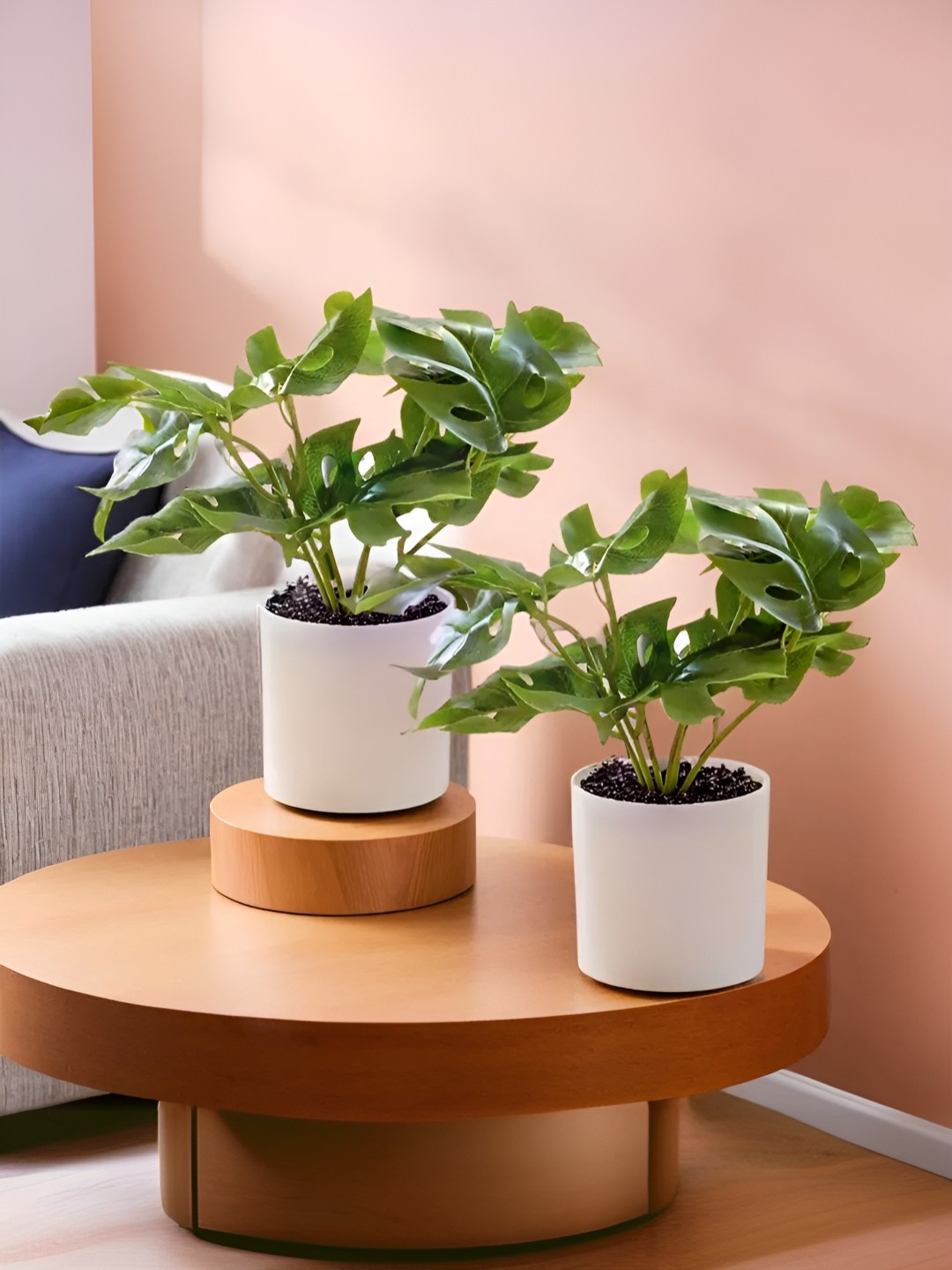

The Better Home Green 2 Pieces Core With Pot