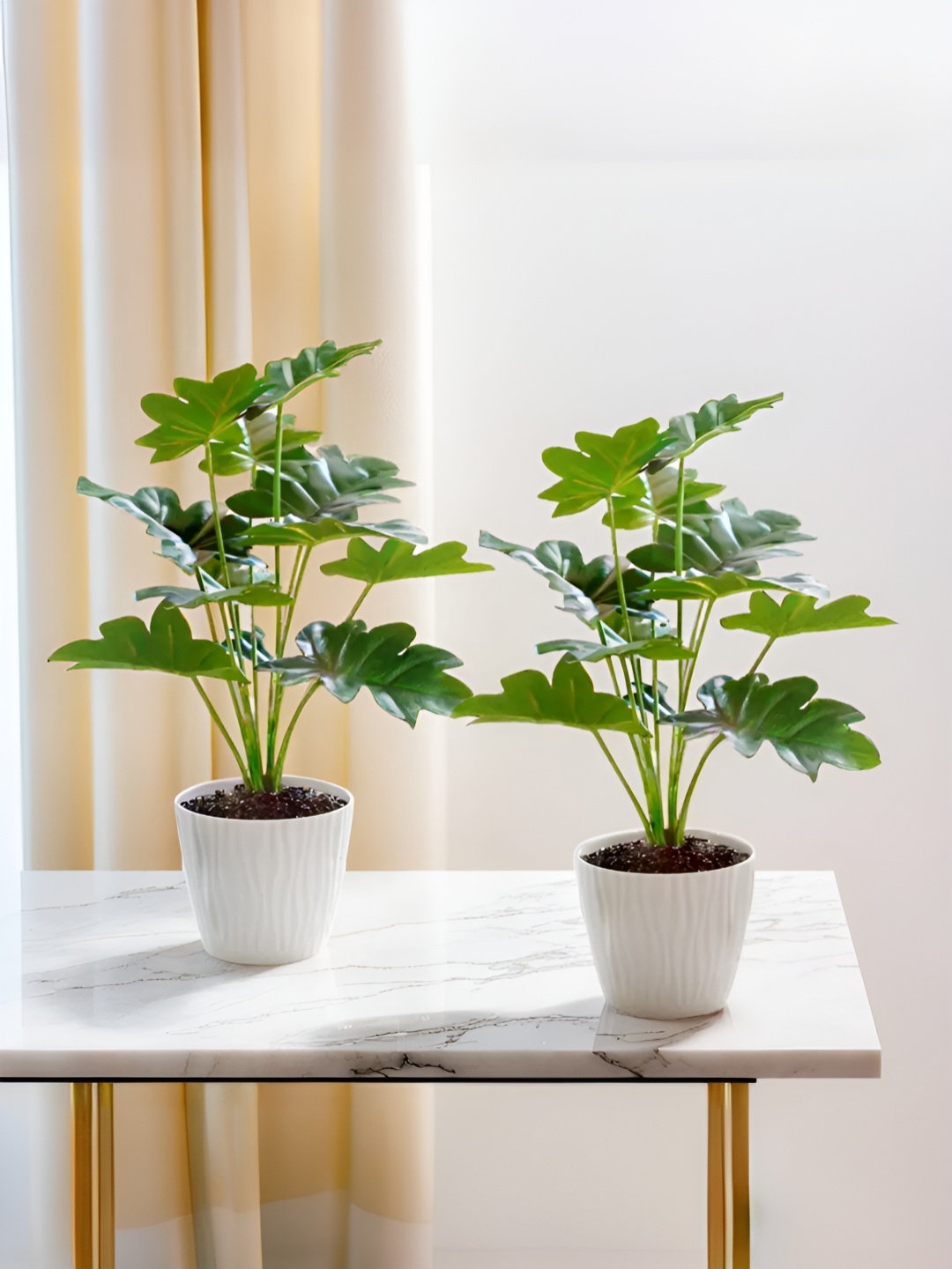 

The Better Home Green & White 2 Pieces Bonsai Artificial Plant With Pot