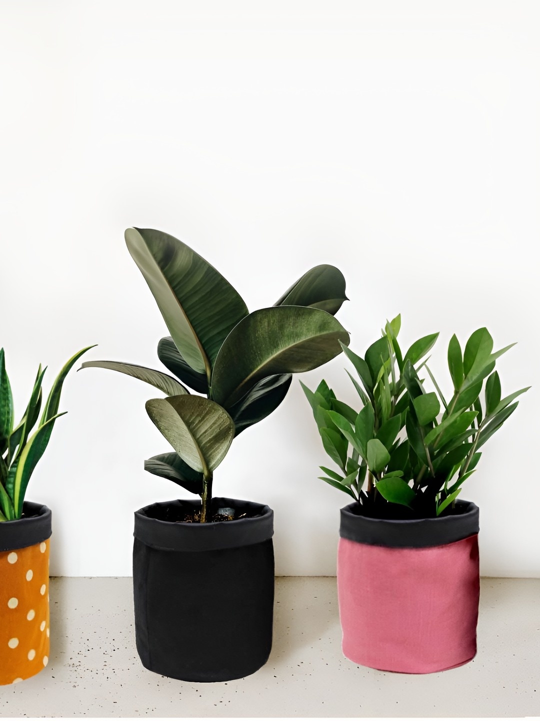 

VAH Kya Bat Hai !! Black & Pink 3 Pieces Cotton Pot Planter Bags