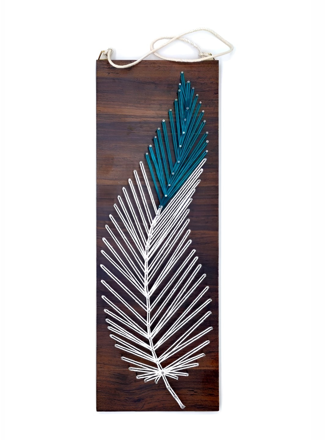 

VAH Kya Bat Hai !! Brown & Blue String Wooden Wall Decor