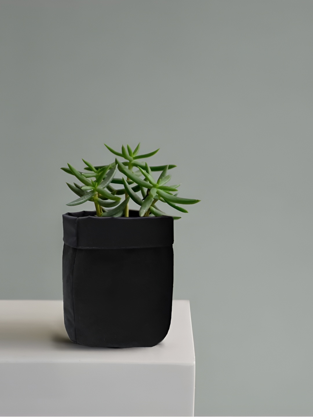 

VAH Kya Bat Hai !! Black Cotton Pot Planter Bag