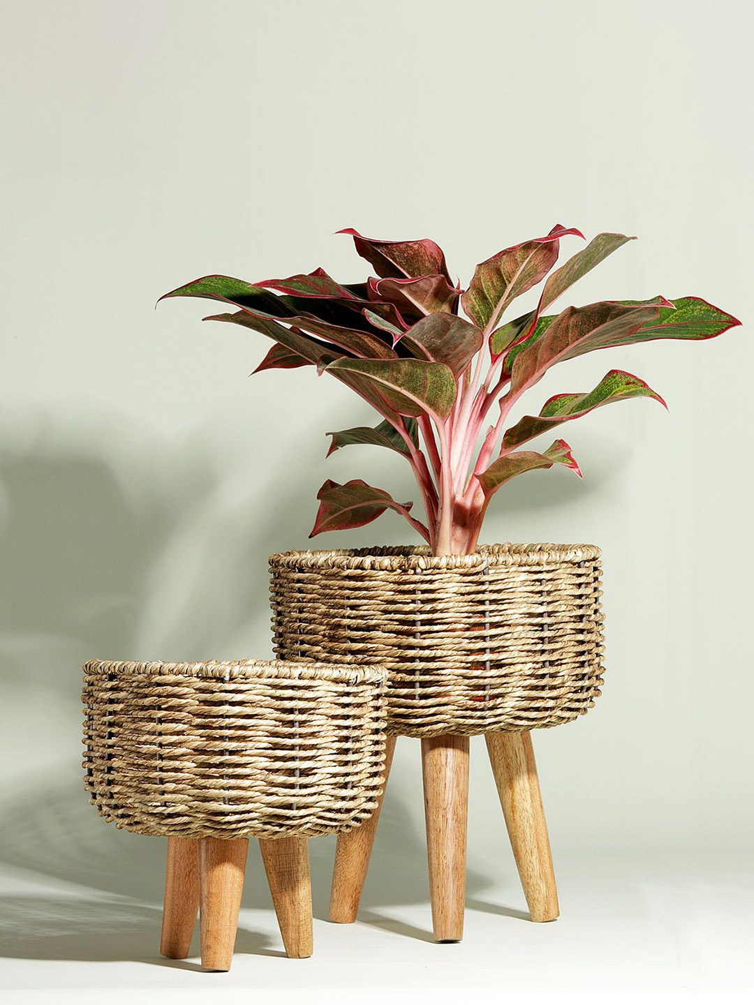 

IGP Unisex 2 Pcs Twisted Jute Rope Planters, Beige