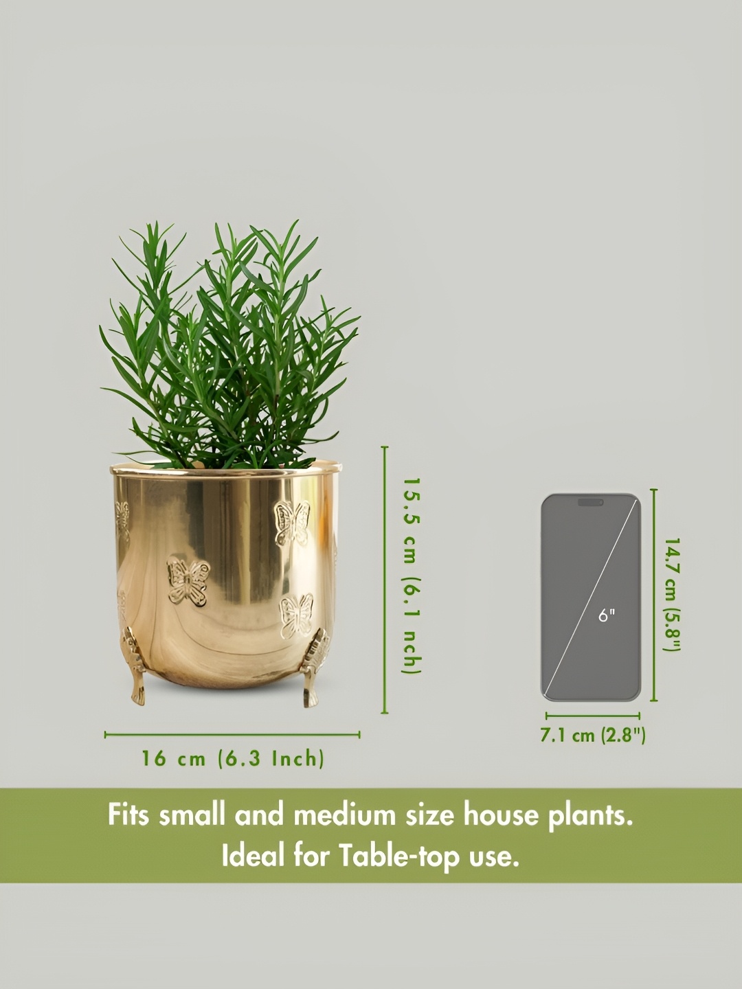 

BEHOMA Gold Toned Metal Planter With holder