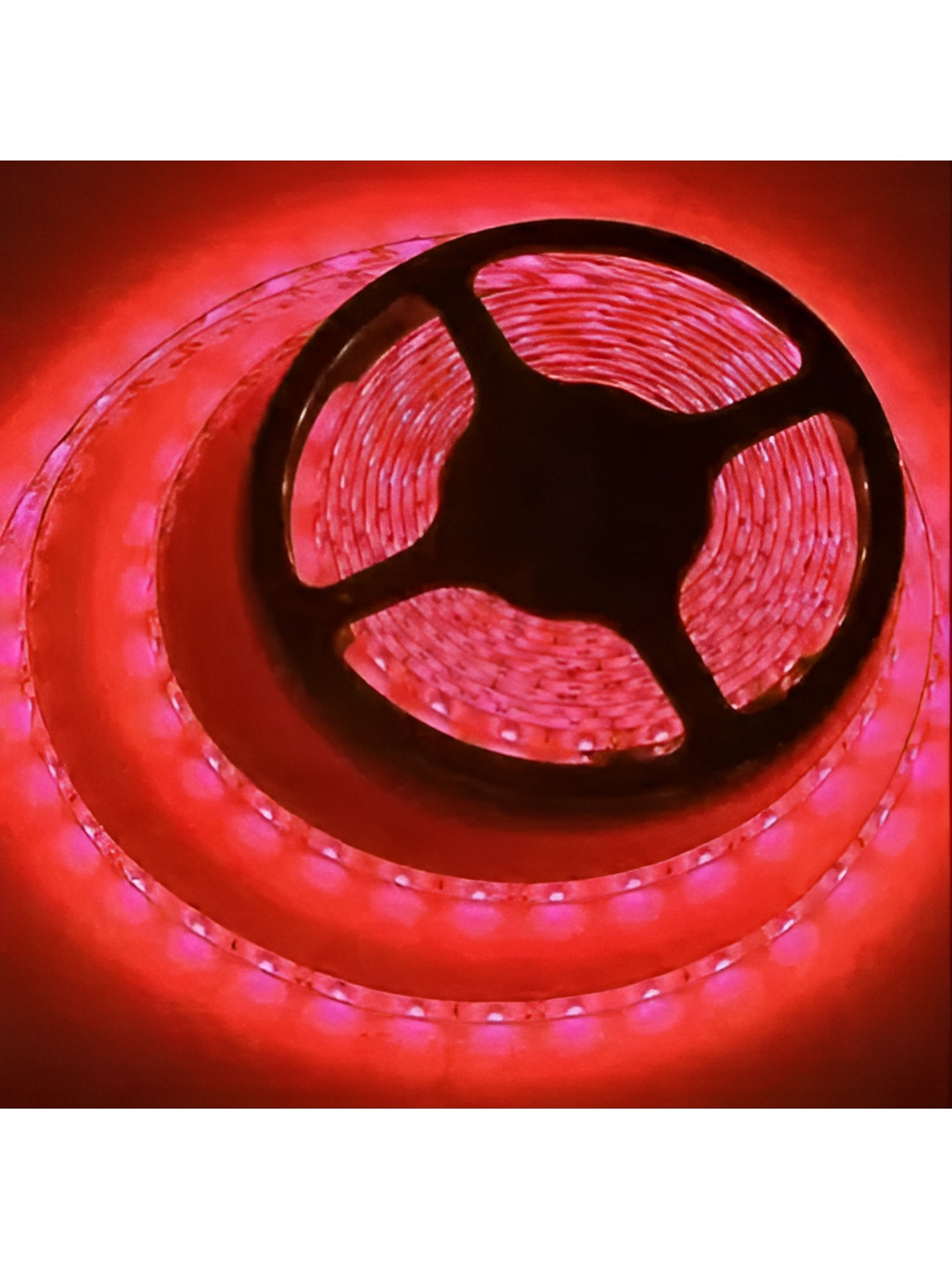 

ENORMITY Red Rice-Shaped String Lights