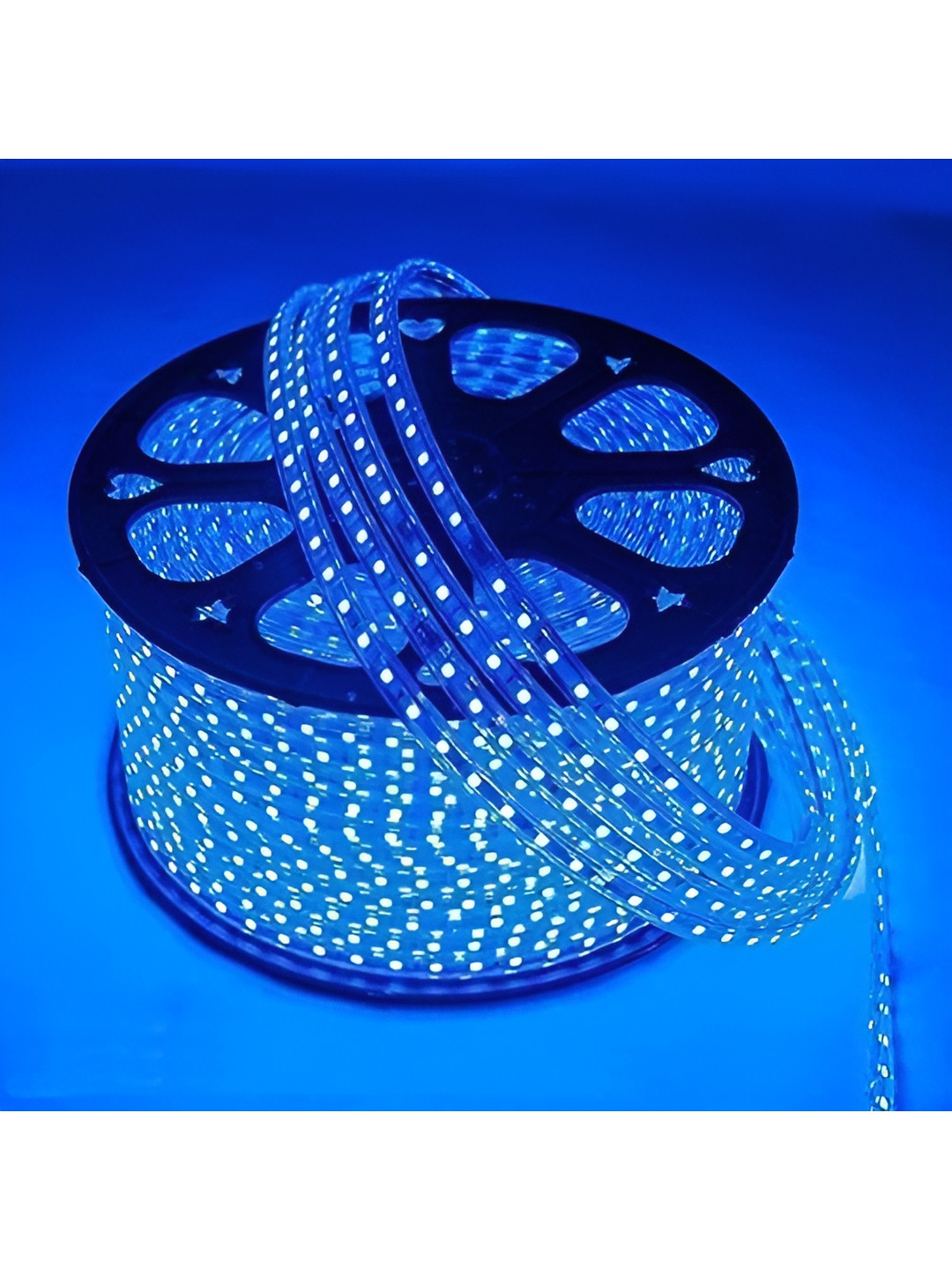 

ENORMITY Blue & Black Rice Shaped LED Rope String Lights