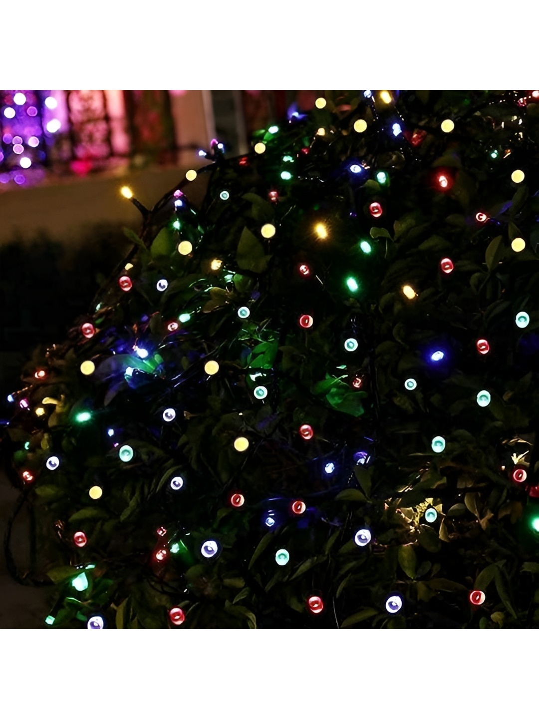 ENORMITY Red & Green Rice Shape String Lights