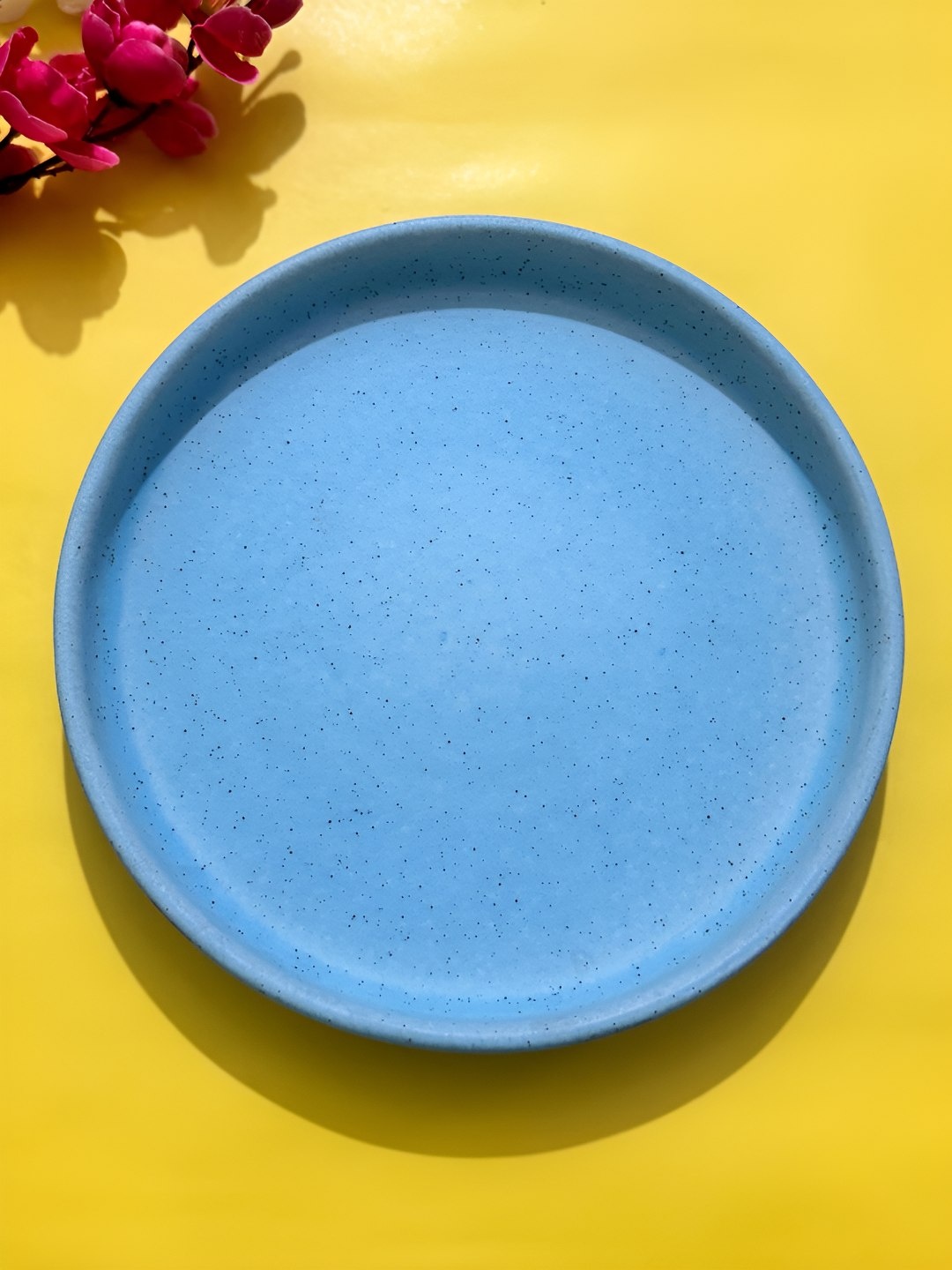 

Lupaava Blue Ceramic Microwave Safe Round Plate