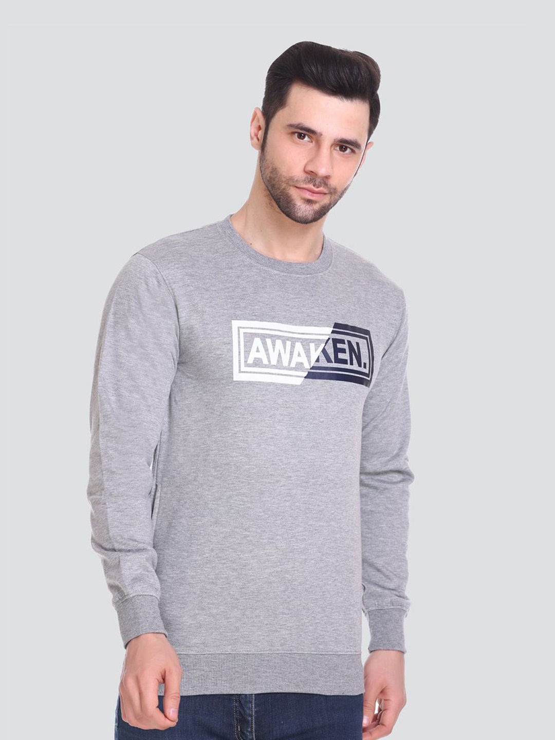 

HB Honey Bee Men Printed Sweatshirt, Grey