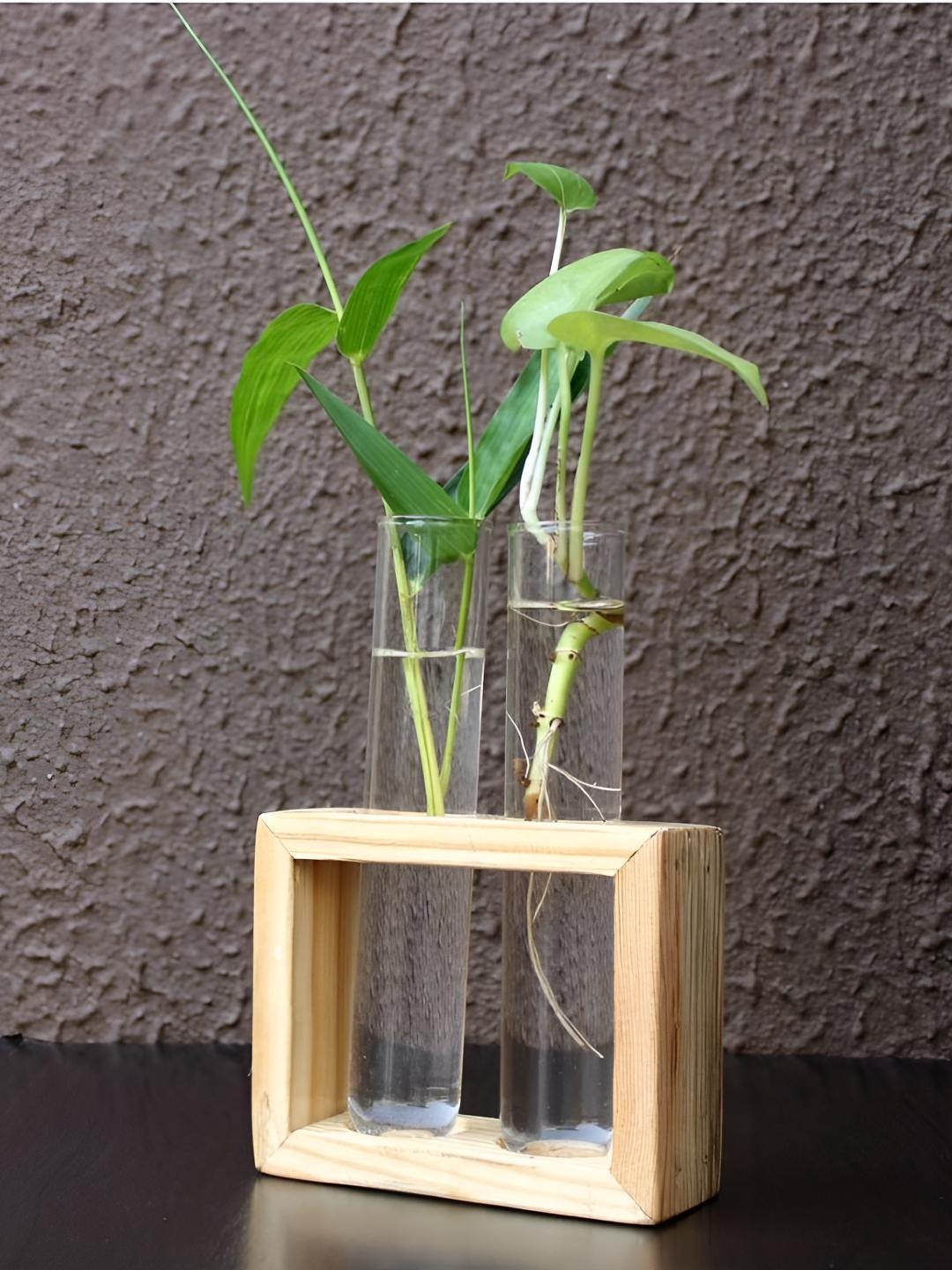 

VAH Kya Bat Hai !! Transparent 2 Pieces Glass Test Tube Shaped Planter With Wooden Stand