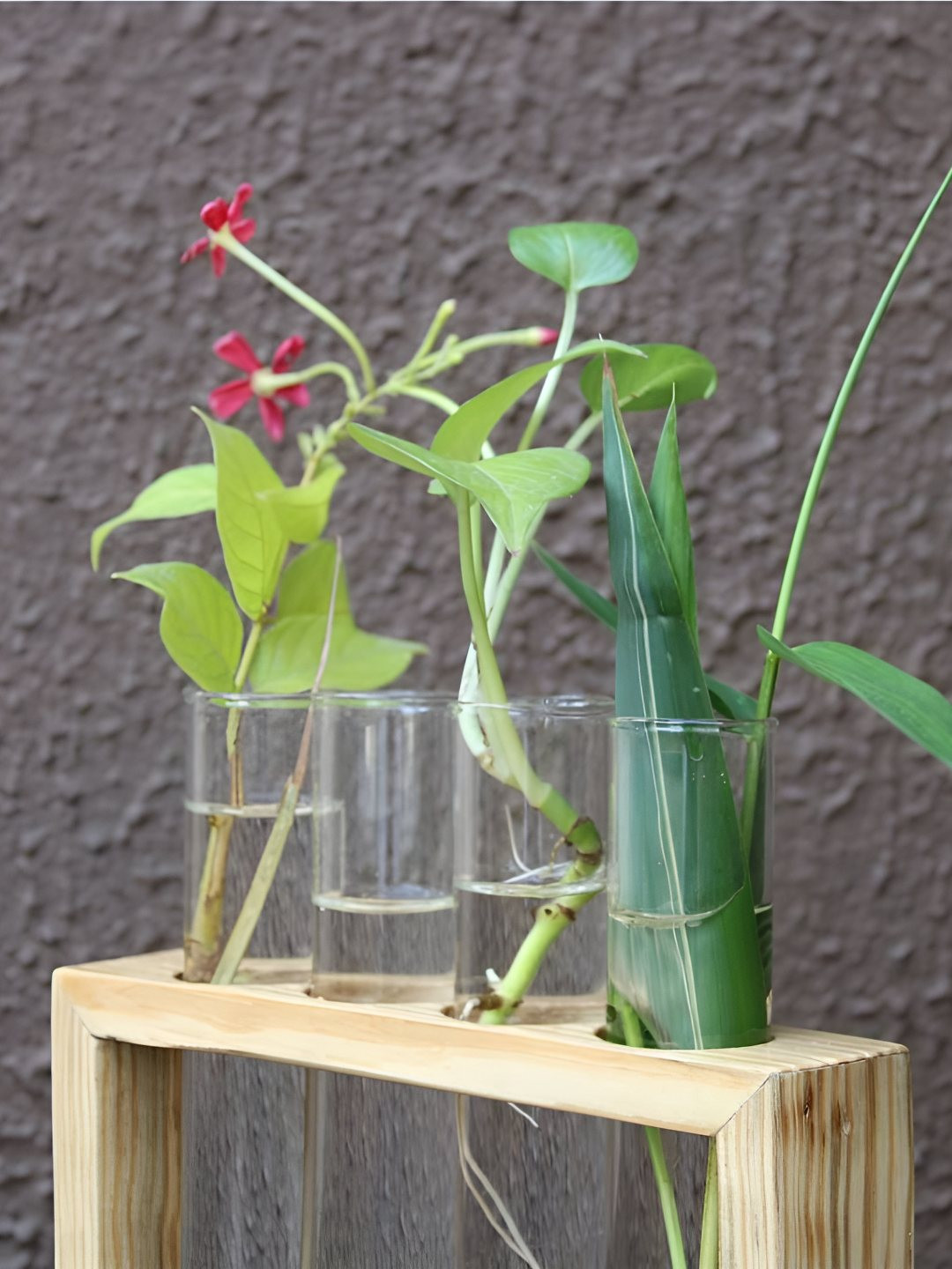 

VAH Kya Bat Hai !! Brown & Transparent 4 Pieces Glass Test tube Planter with Wood Stand