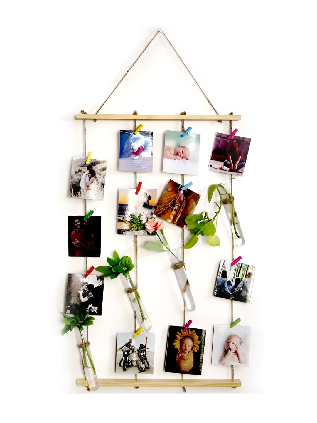 VAH Kya Bat Hai !! White Photo Hanging with Test Tube Wall Decor