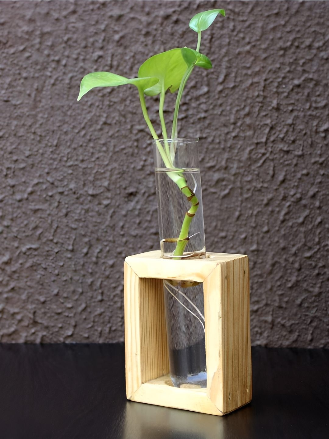 

VAH Kya Bat Hai !! Brown & Transparent Glass Test Tube With Wooden Stand