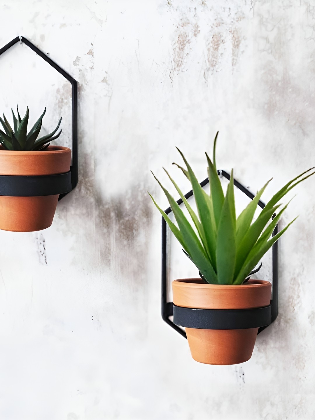

VAH Kya Bat Hai !! Black 2 Pieces Iron Planter Stands