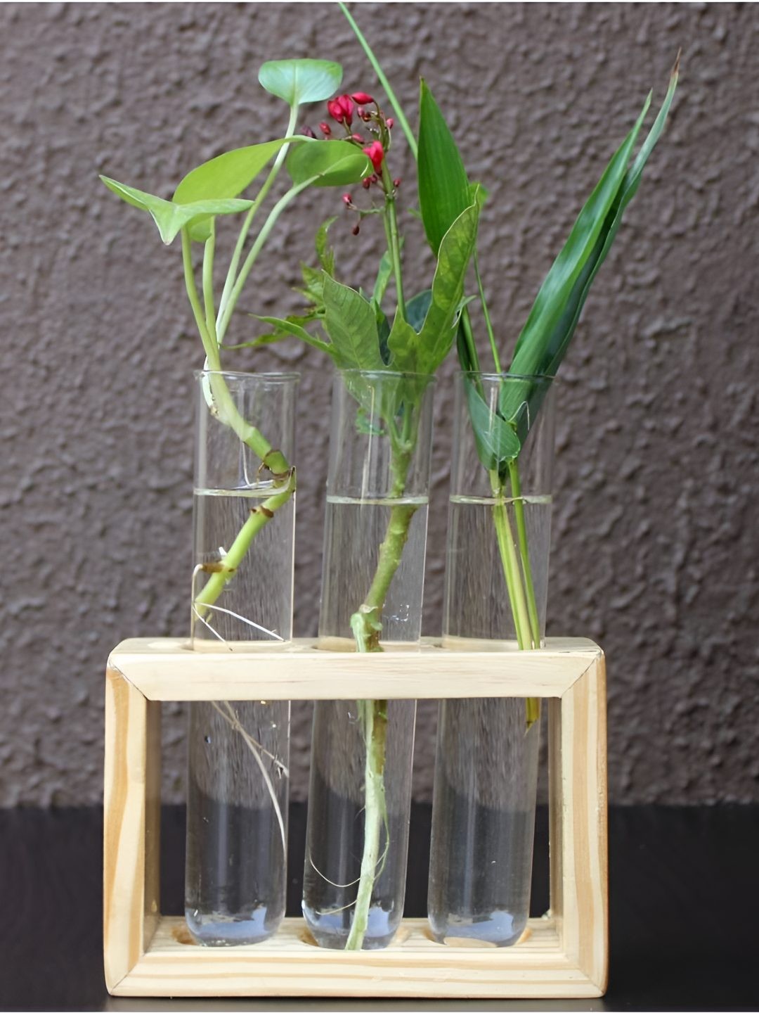 

VAH Kya Bat Hai !! Brown & Transparent 3 Pieces Glass Test Tube With Wooden Stand