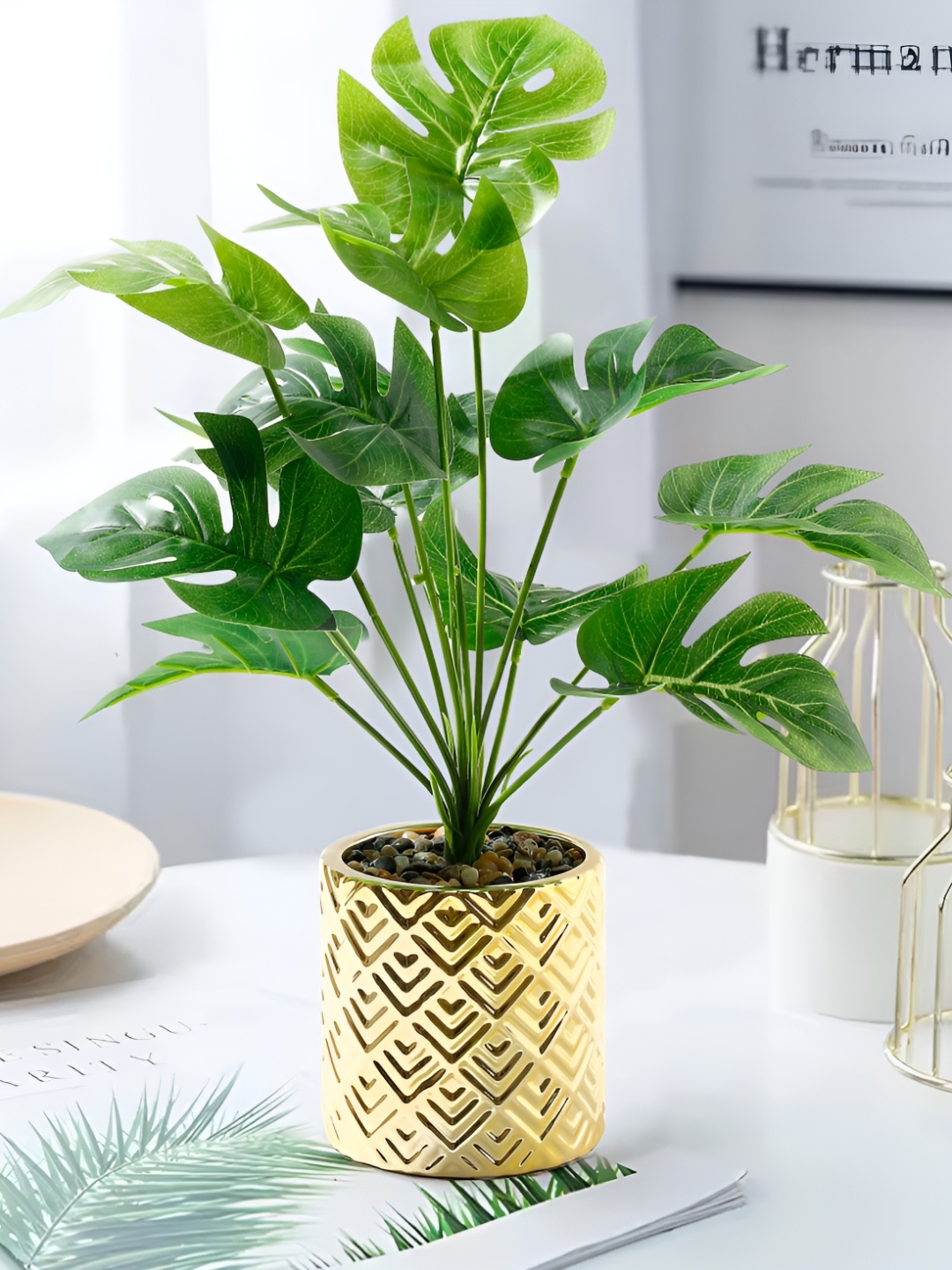 

UMAI Green & Gold toned Monstera Deliciosa Artificial Plant With Pot