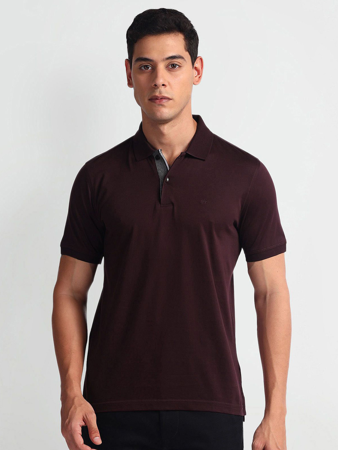 

Arrow Men Solid Polo Collar Cotton Tshirt, Maroon