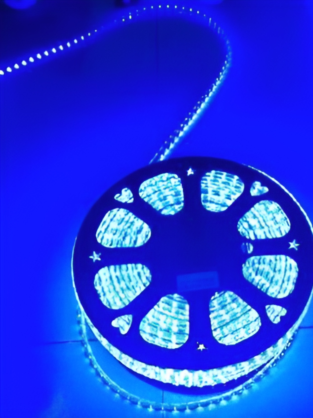 

SPARK WORLD Blue Rice Shaped LED String Lights Rope