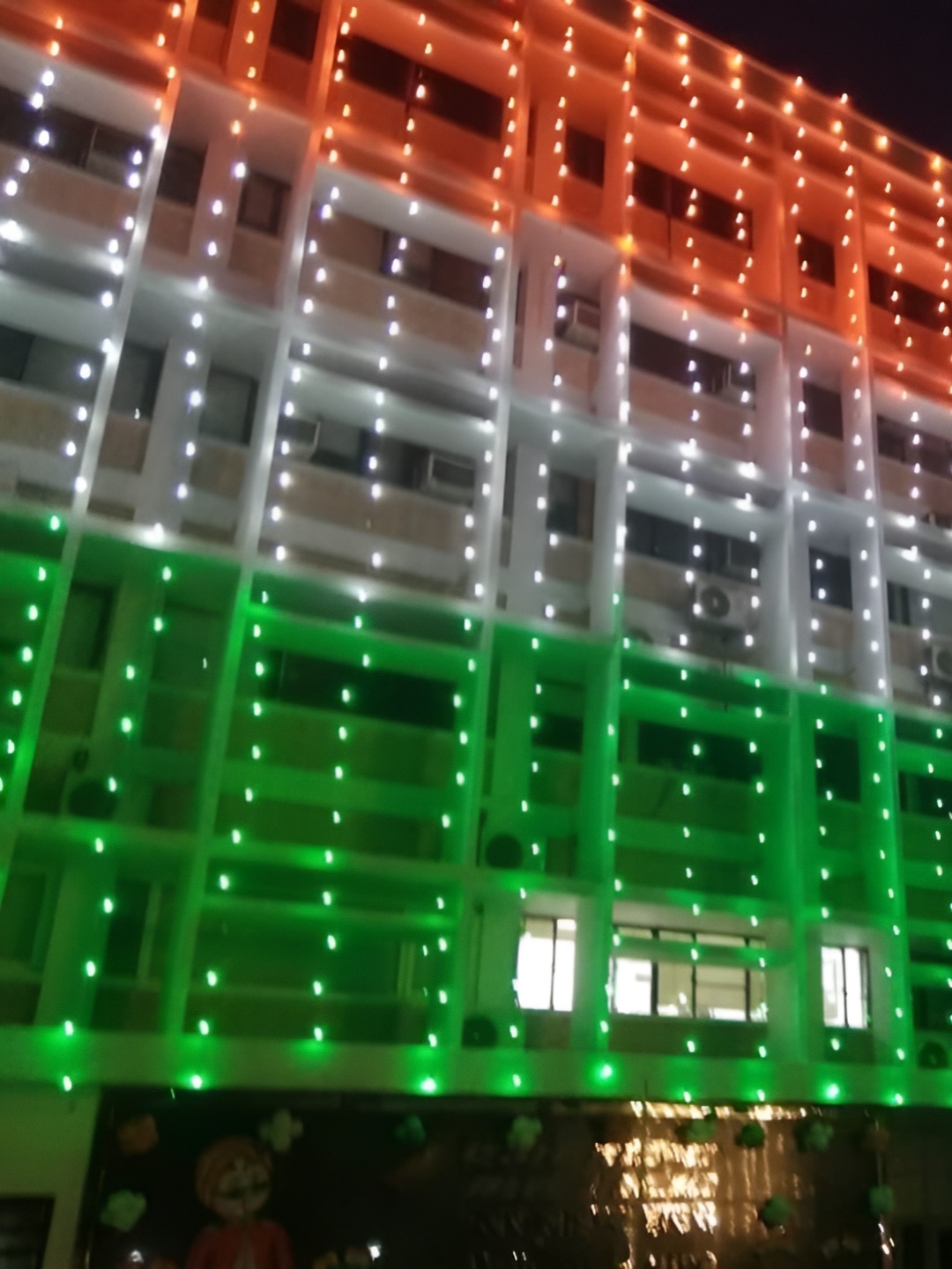 ENORMITY Green & White Rice Shape Bulb String Lights