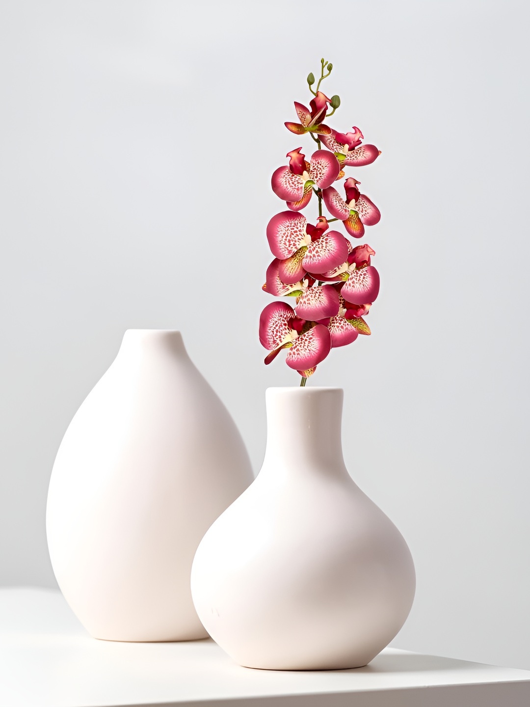 

THE HOME CO. Cream Orchid Artificial Flower