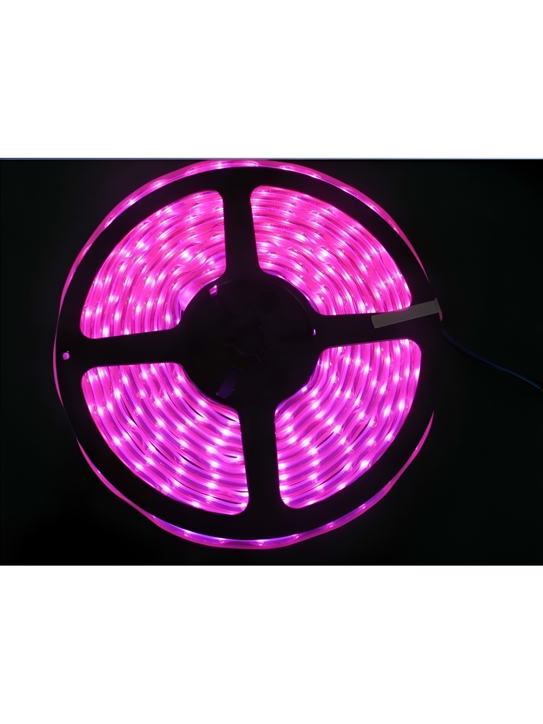 

ENORMITY Pink Rice Shape String Lights