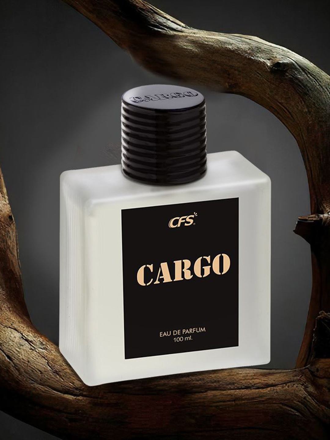 

CFS Cargo Black EDP Long Lasting Perfume & Oudh Black Deodorant Body Spray-100ml+200ml