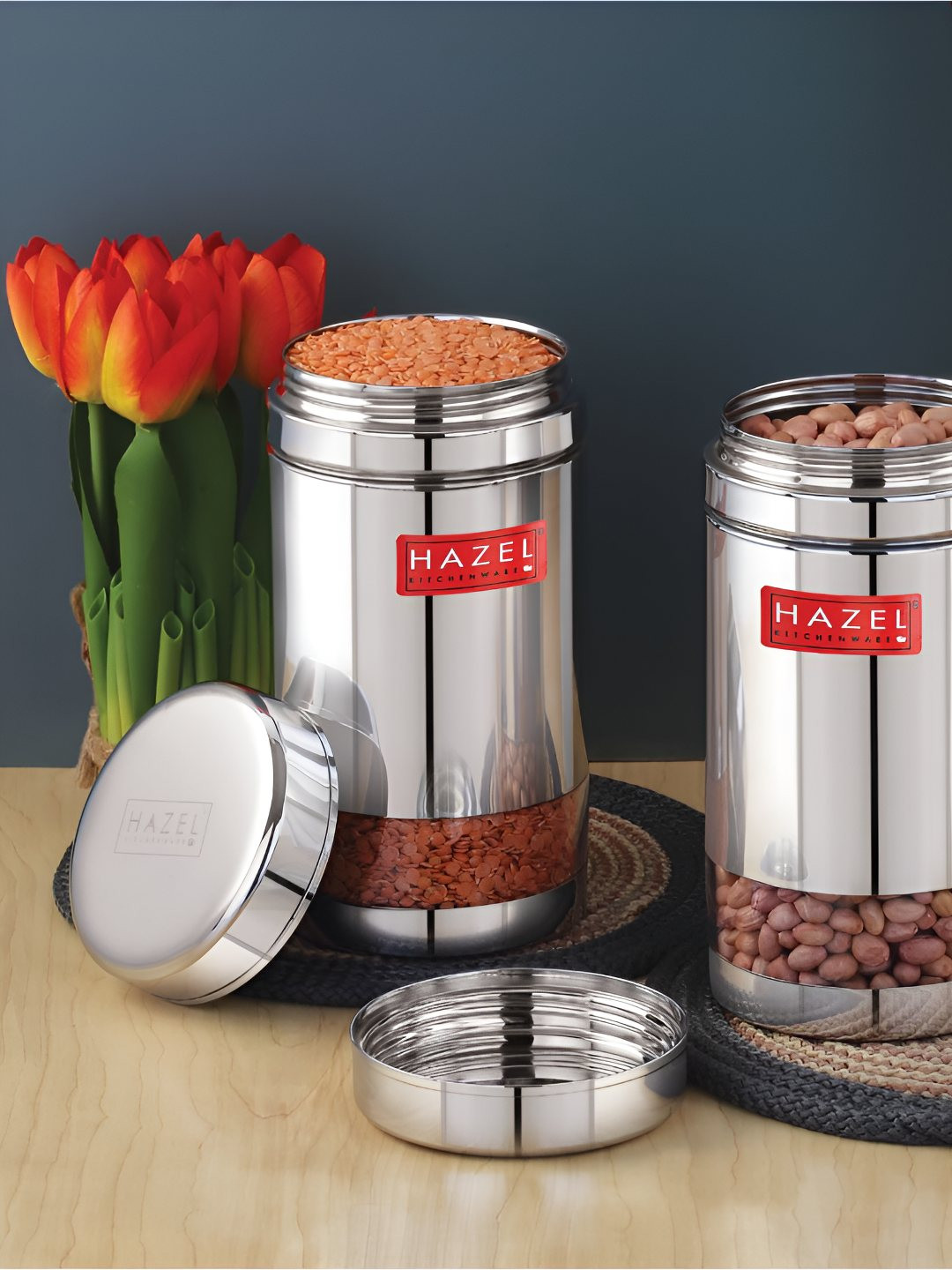 

HAZEL Transparent 2 Pieces Stainless Steel Storage Containers, Silver