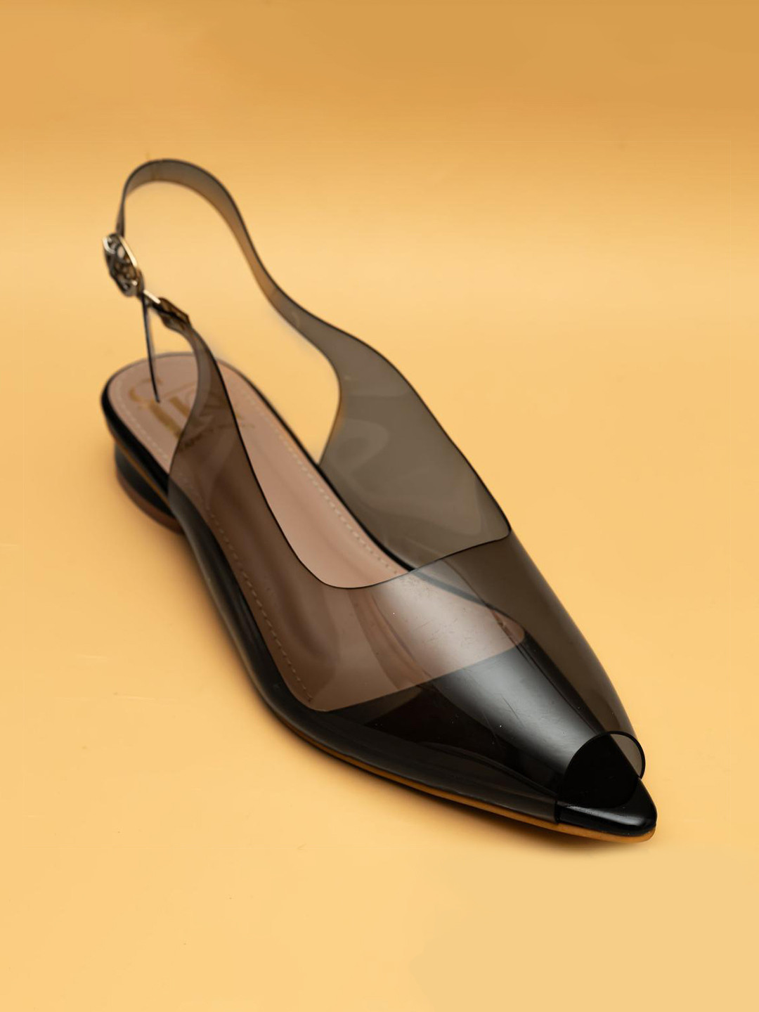 

Fancy Nancy Women Pointed Toe Ballerinas Transparent Flats, Black