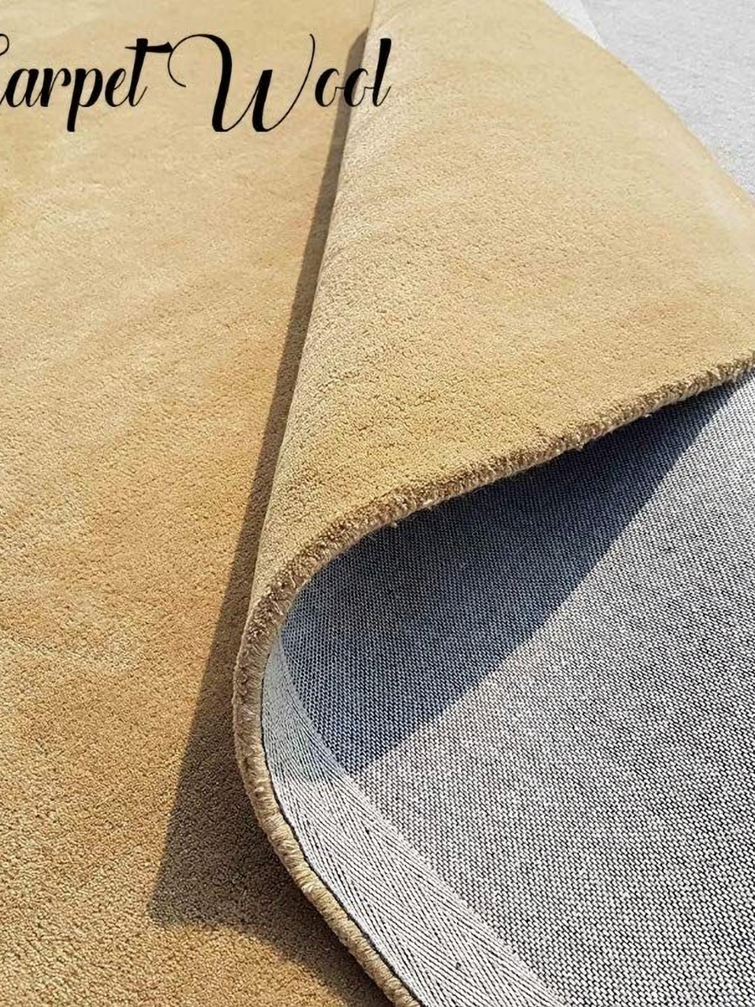 

IMRA CARPET Beige Shaggy Rectangle Carpet