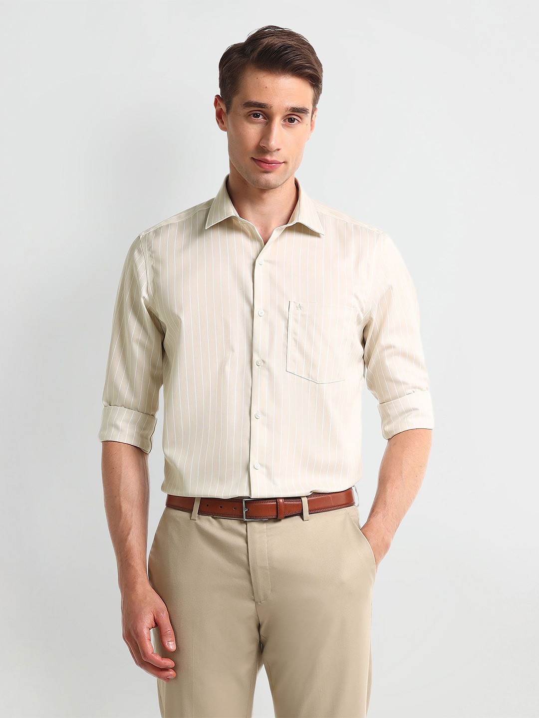 

Arrow Men Opaque Striped Formal Shirt, Beige