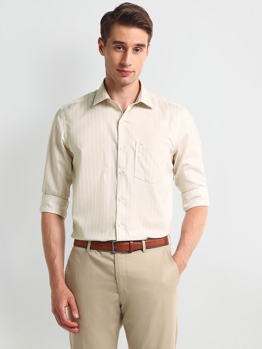 

Arrow Men Opaque Striped Formal Shirt, Beige