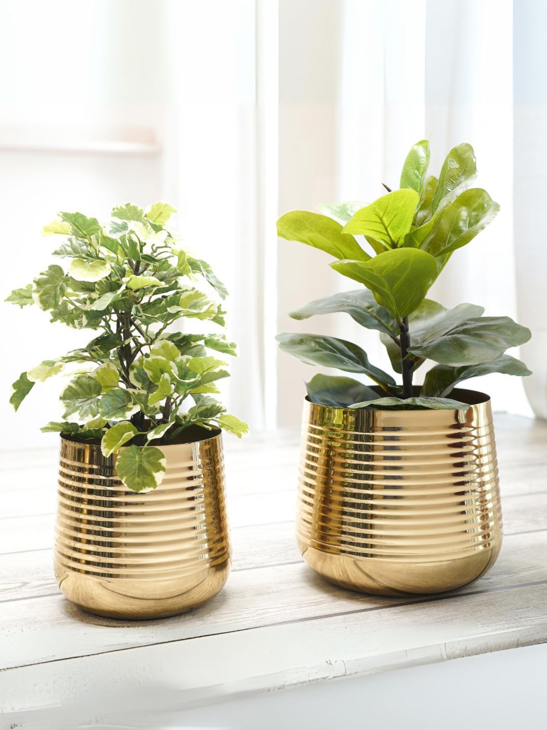 

BEHOMA Set of 2 Gold Toned Small & Medium Metal Ribbed Planter