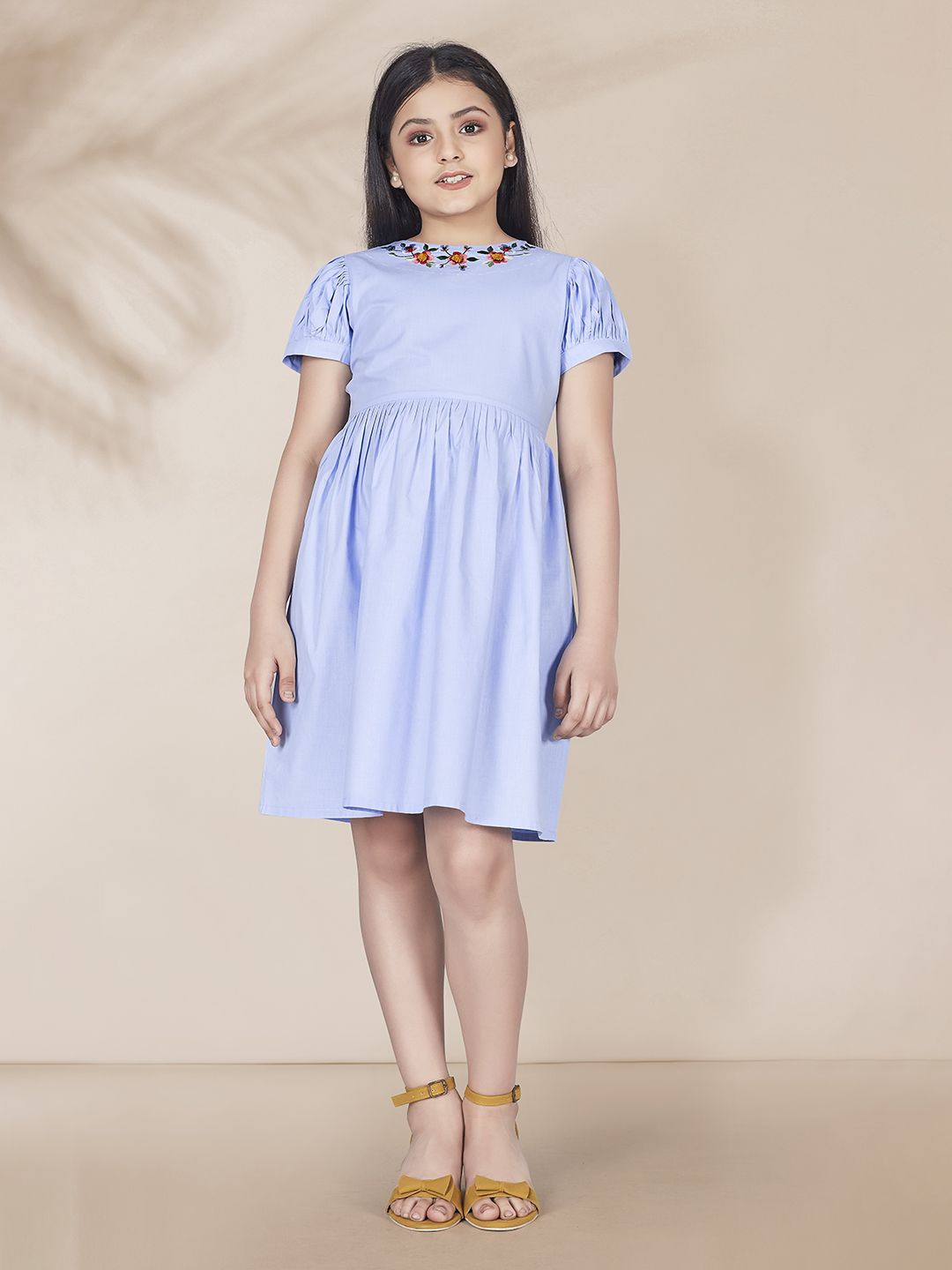 

BAESD Embroidered Boat Neck Fit & Flare Dress, Blue