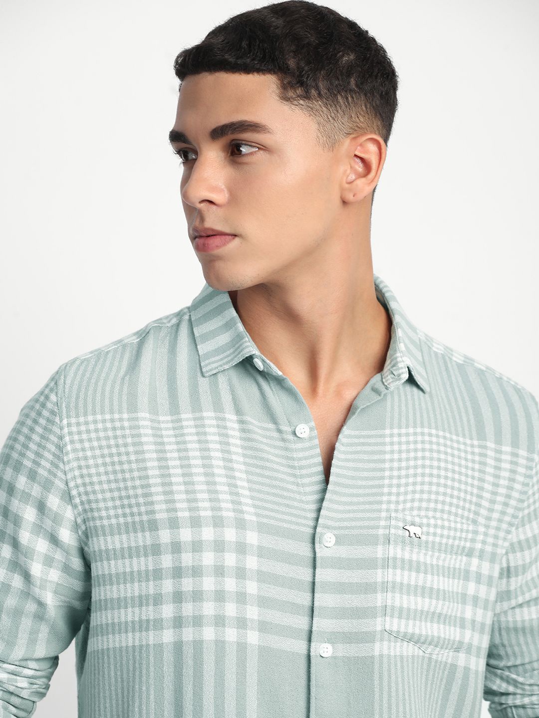 

THE BEAR HOUSE Men Slim Fit Gingham Checks Opaque Striped Casual Shirt, Green