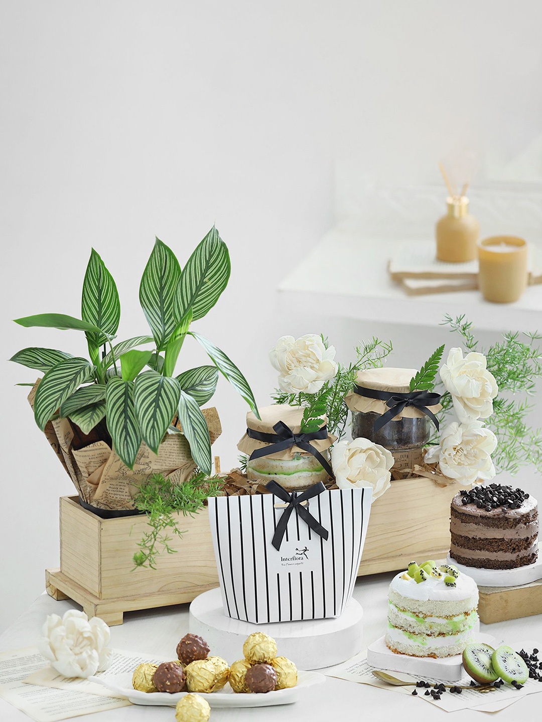 Interflora Calathea Wishes Live Plants With Assorted Gifts, Multi
