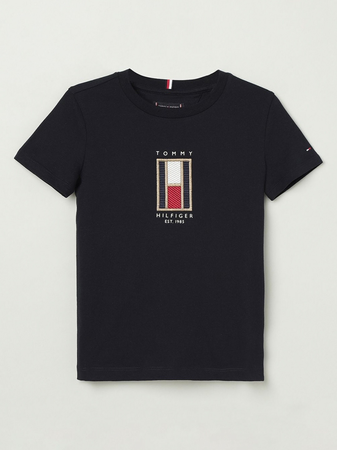 

Tommy Hilfiger Boys Printed Round Neck Cotton T-Shirt, Blue