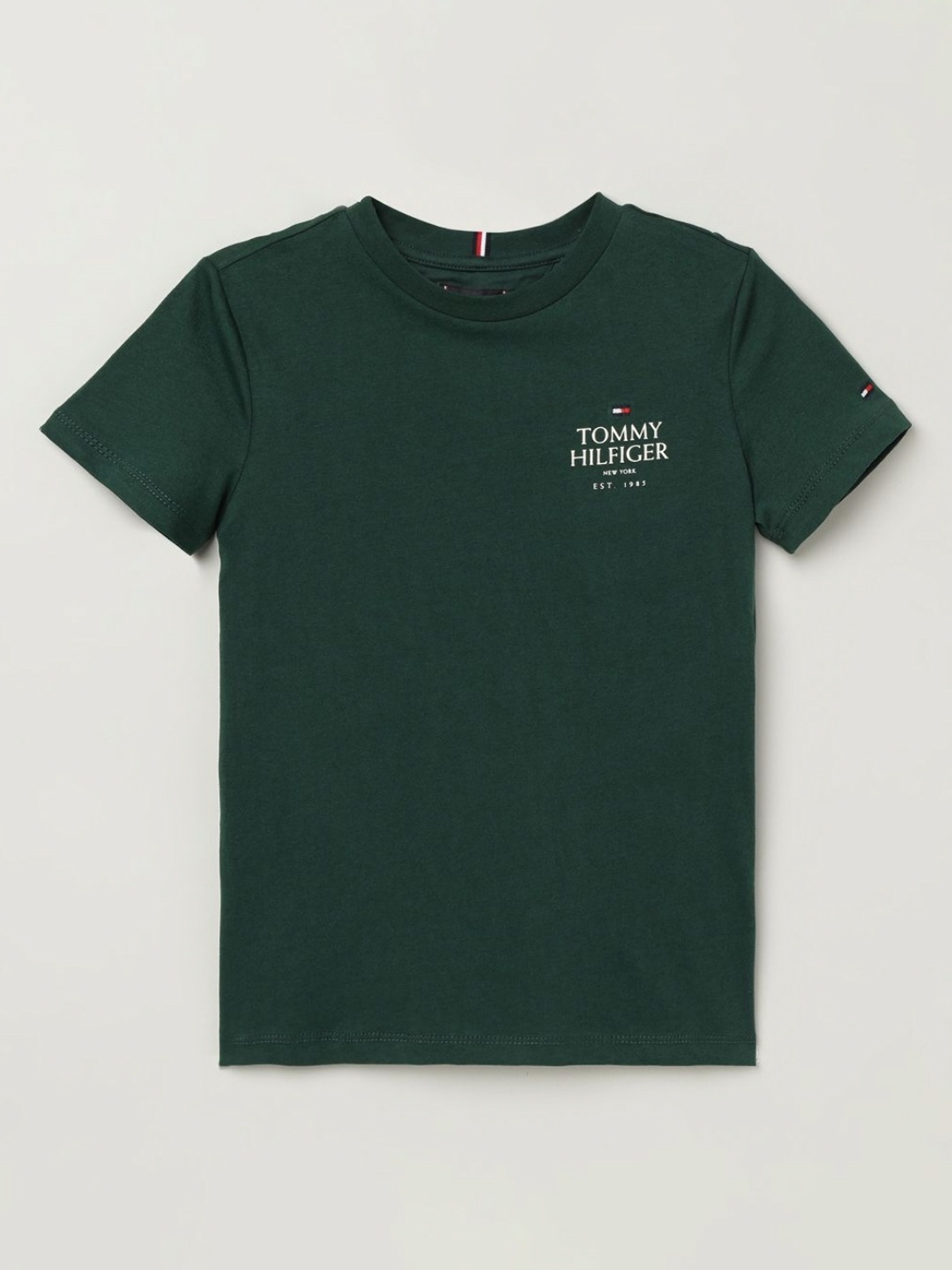 Tommy Hilfiger Boys Printed Round Neck Cotton T-Shirt, Green