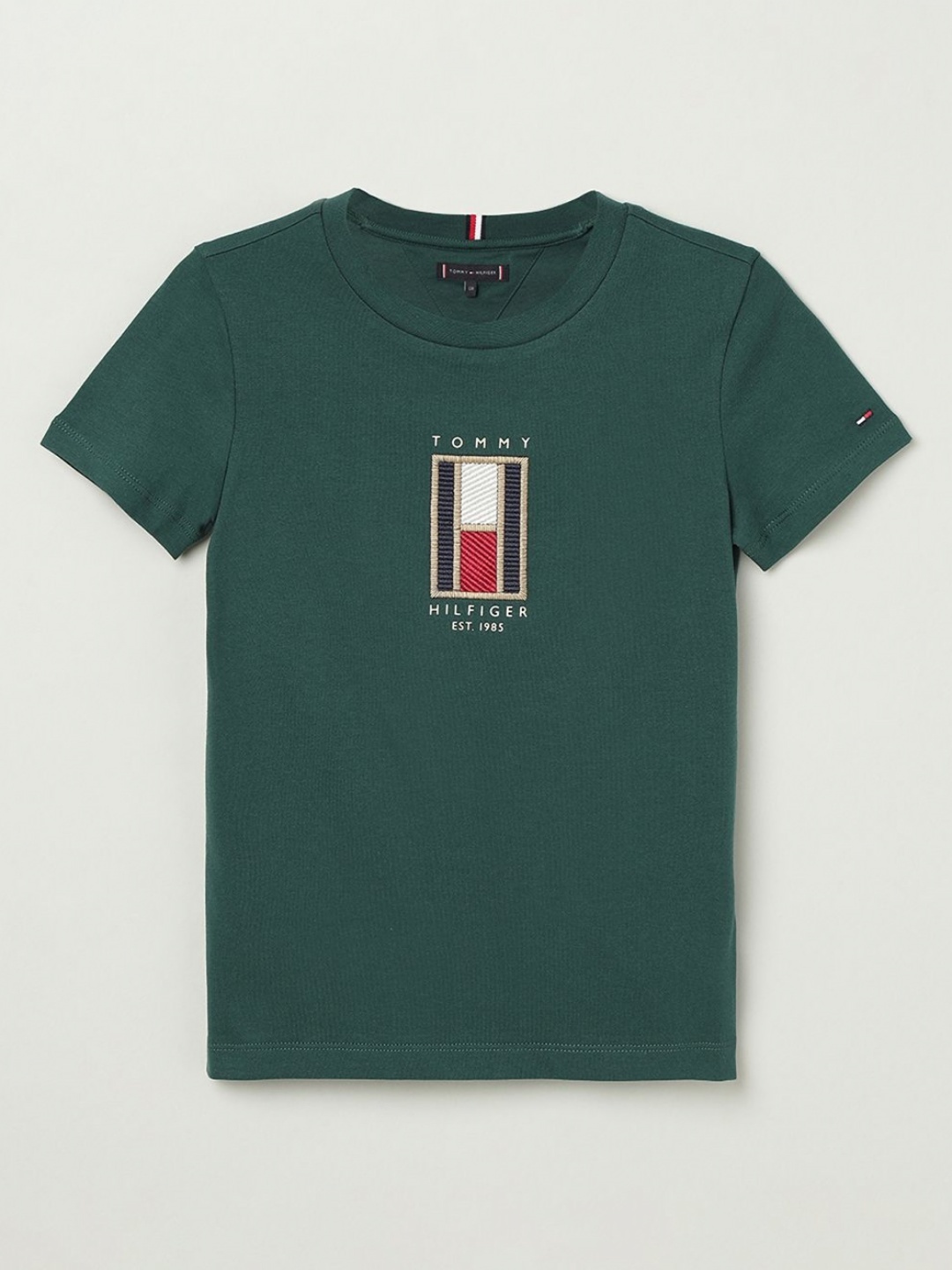 

Tommy Hilfiger Boys Printed Round Neck Cotton T-Shirt, Green