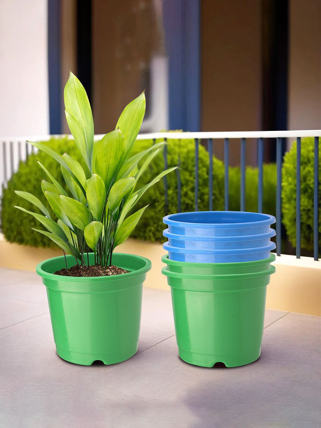 

Kuber Industries Green & Blue 6 Pieces Durable Planters