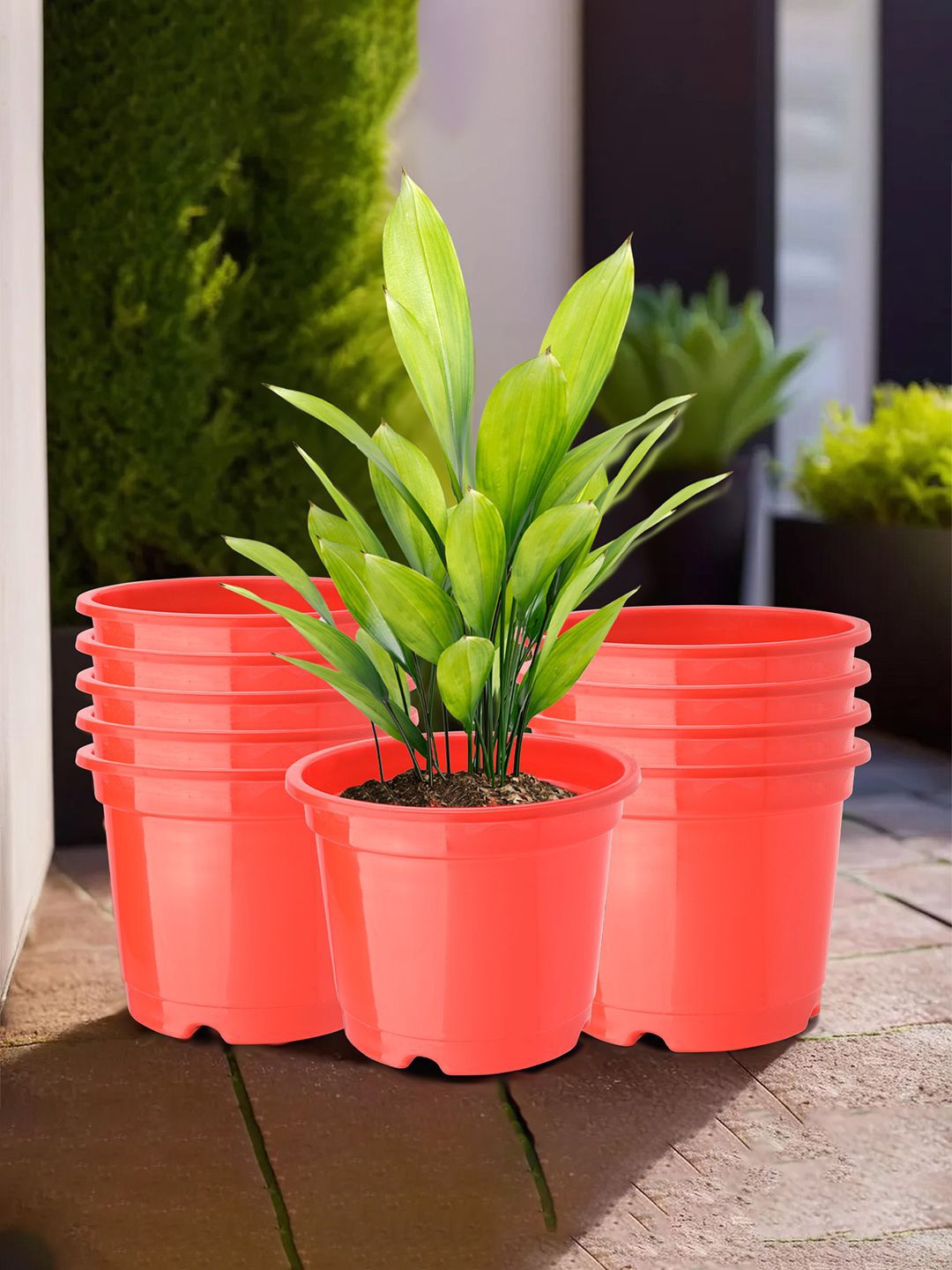 

Kuber Industries Red 10 Pieces Round Planters