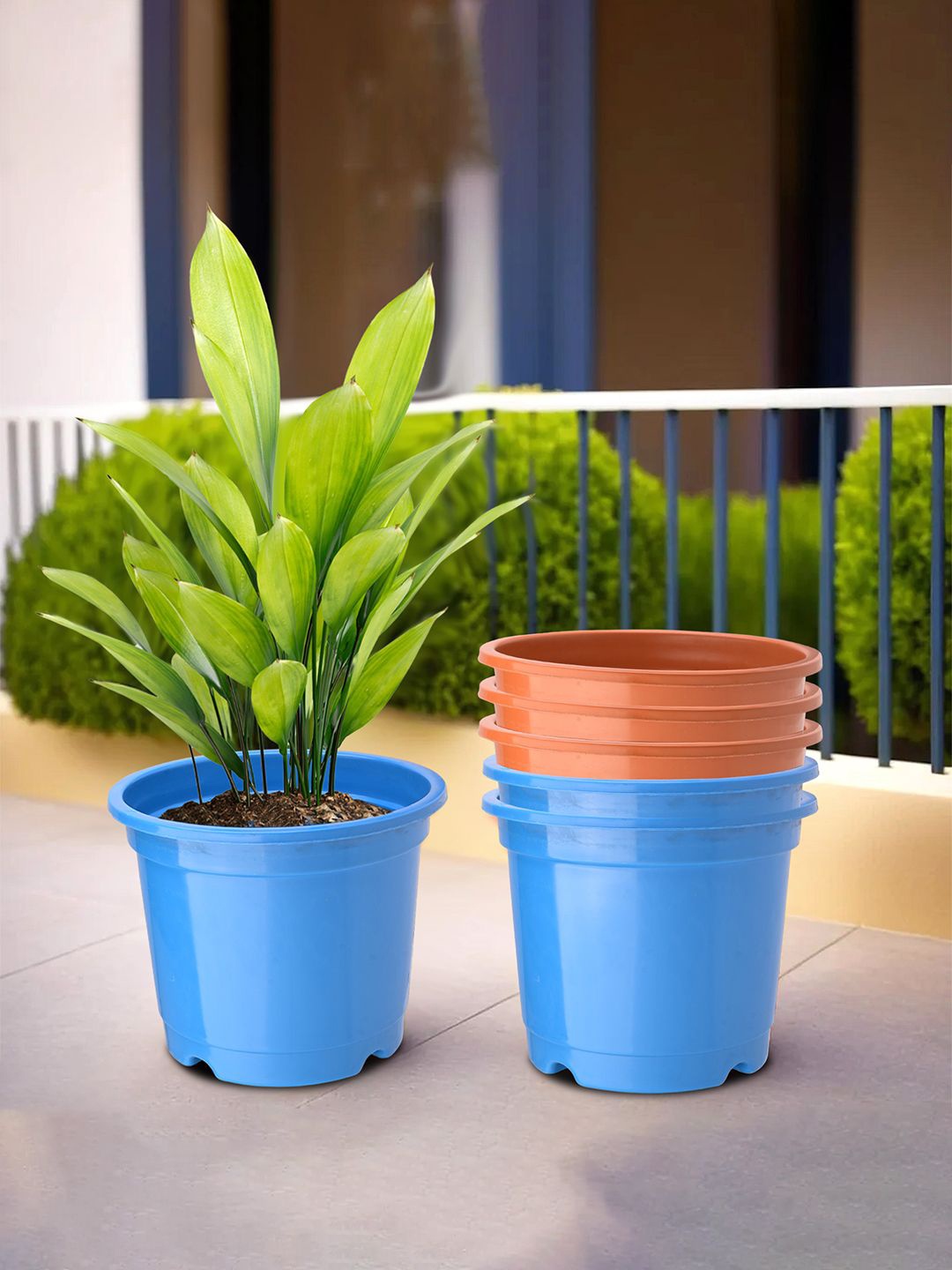 

Kuber Industries Orange-colored & Blue 6 Pieces Durable Planters