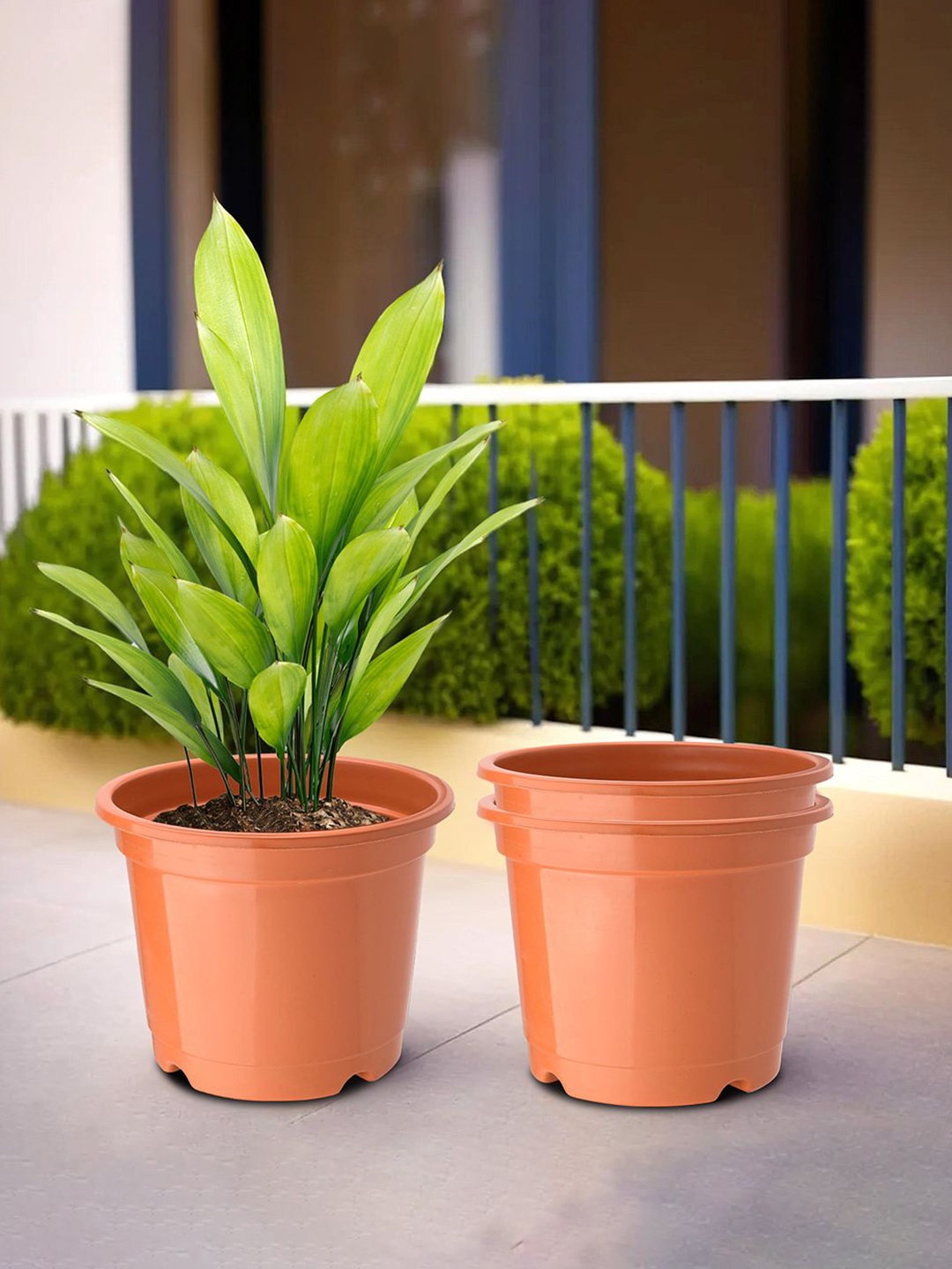 

Kuber Industries Orange 3 Pieces Planters