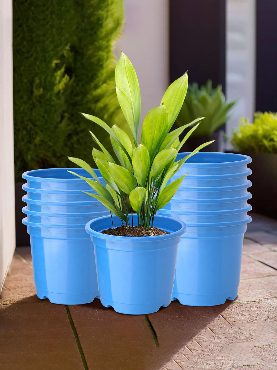 

Kuber Industries Blue 12 Pieces Planters
